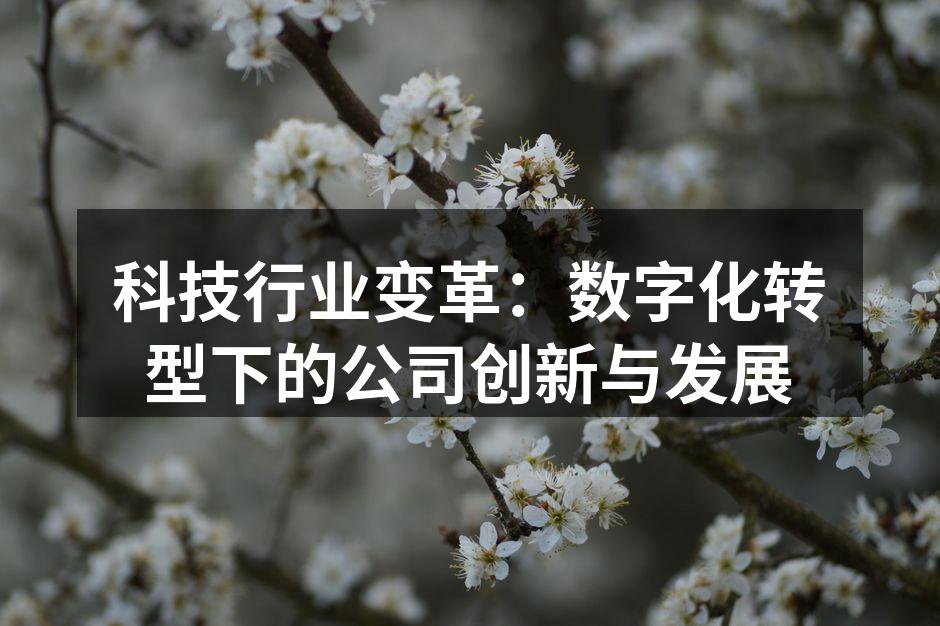科技行业变革：数字化转型下的公司创新与发展